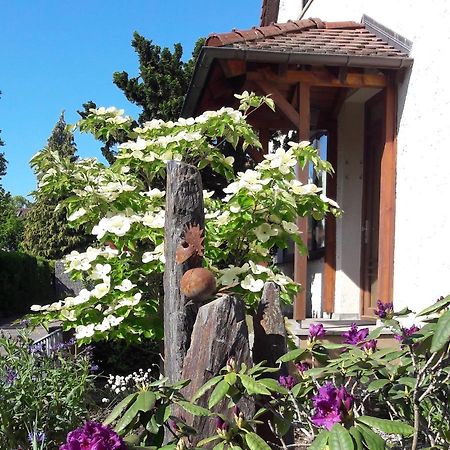 Fremdenzimmer Familie Förster Villingen-Schwenningen Exterior foto